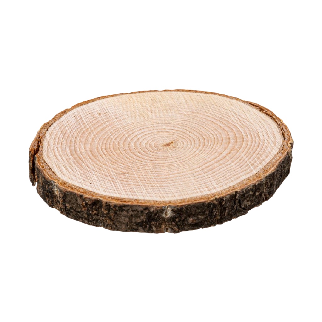 Posavasos redondo de madera natural con corte de tronco-prediksigacorkebun.xyz